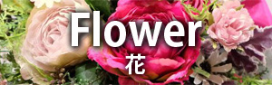 花 Flower